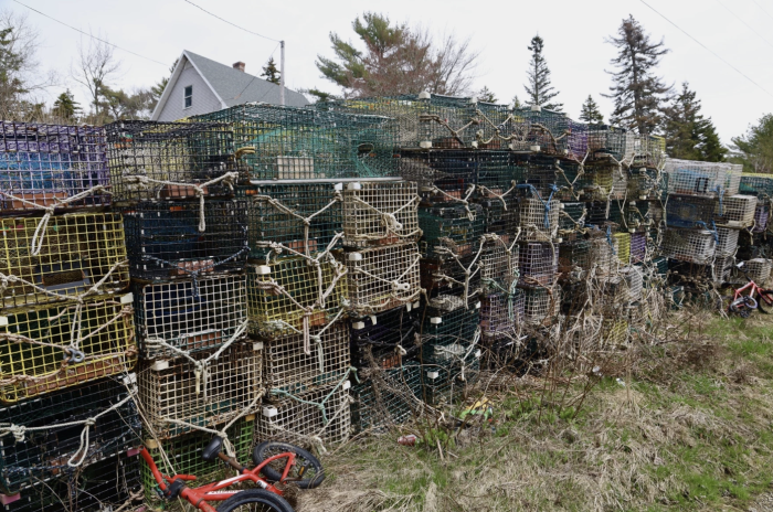 Tulley Hescock : Maine Public